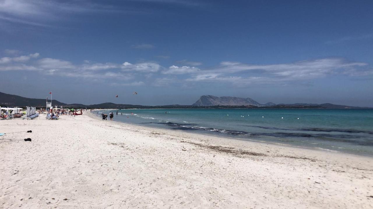 Appartamento In Villaggio, A 150Mt Dal Mare San Teodoro  Dış mekan fotoğraf