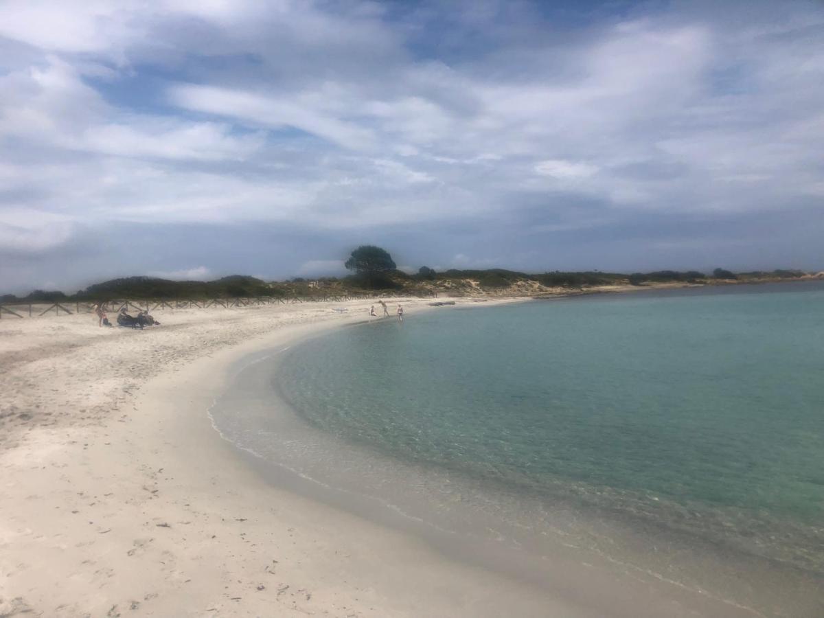 Appartamento In Villaggio, A 150Mt Dal Mare San Teodoro  Dış mekan fotoğraf