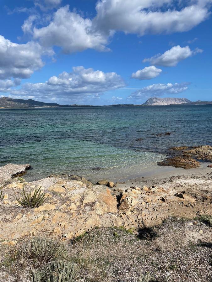 Appartamento In Villaggio, A 150Mt Dal Mare San Teodoro  Dış mekan fotoğraf