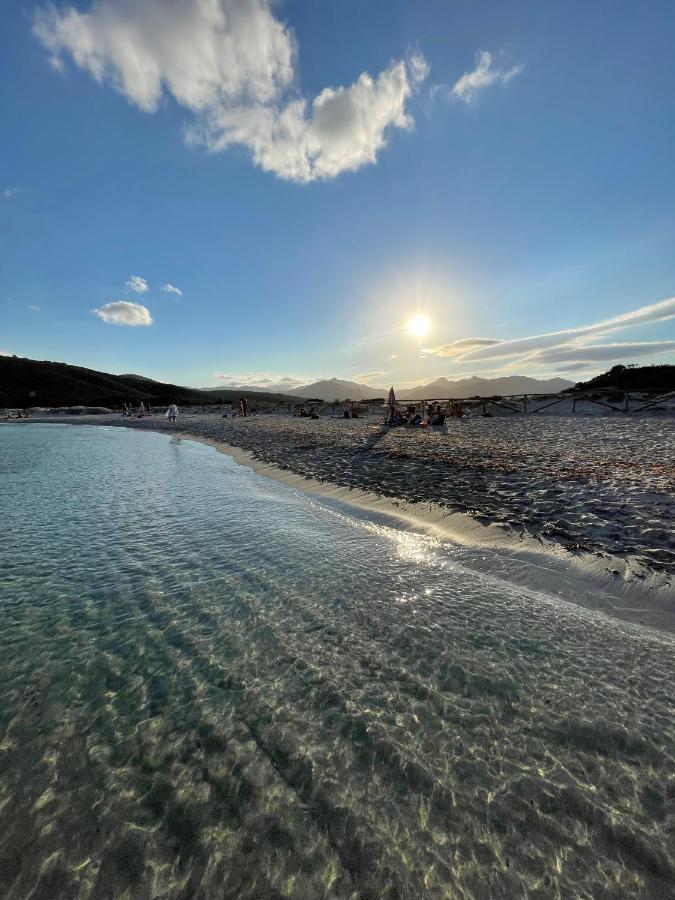 Appartamento In Villaggio, A 150Mt Dal Mare San Teodoro  Dış mekan fotoğraf