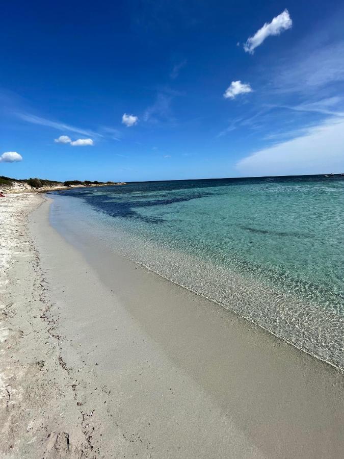 Appartamento In Villaggio, A 150Mt Dal Mare San Teodoro  Dış mekan fotoğraf